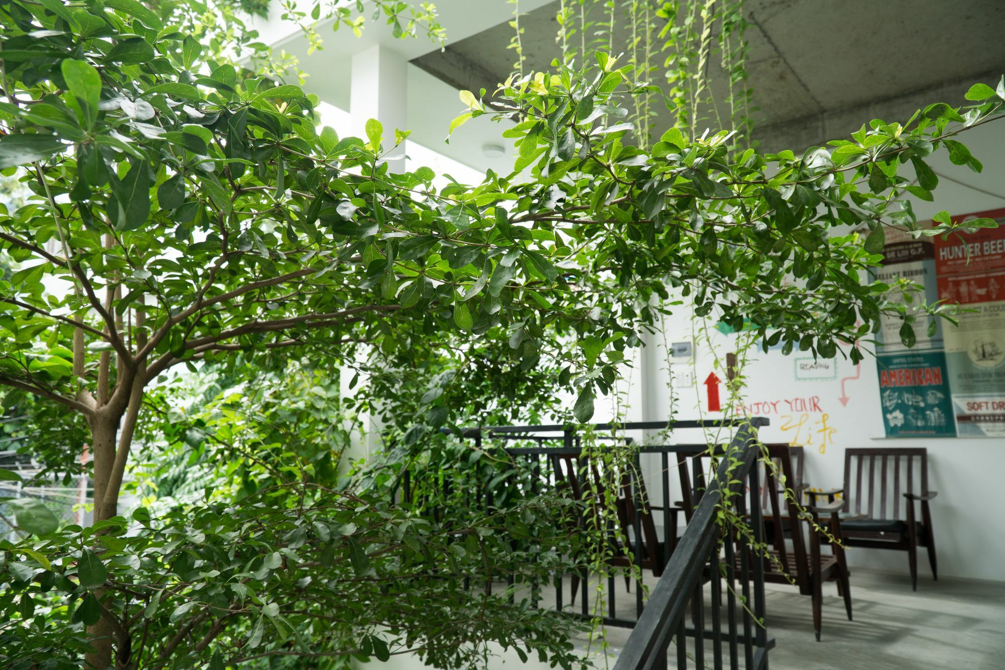Kiu House - 3Br - Green & Artistic Da Nang Exterior foto